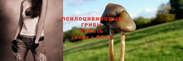 трава Балахна