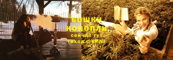 трава Балахна