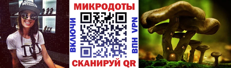 Галлюциногенные грибы MAGIC MUSHROOMS  Борисоглебск 